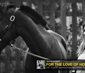 Photowalk - For the Love of Horses
