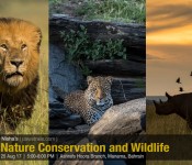 Nature Conservation and Wildlife by Nisha