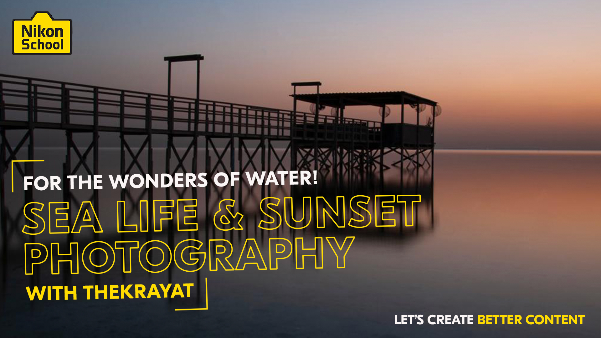 Sea Life and Sunset Photography
